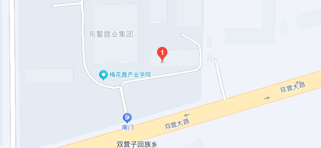 地图